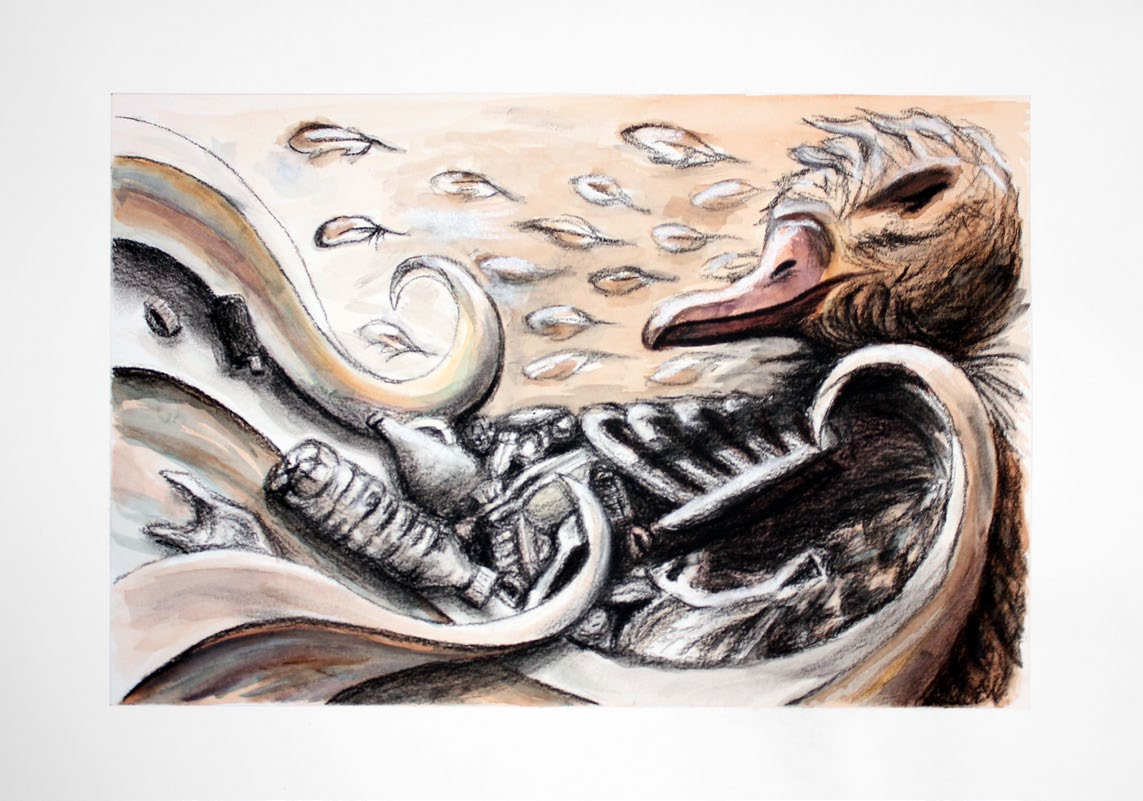 Albatross